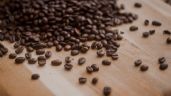 No creerás cuál de los cafés solubles es el más saludable, según PROFECO