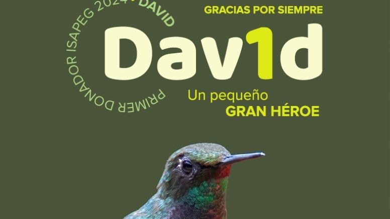 El pequeño David se convierte en héroe al donar sus órganos