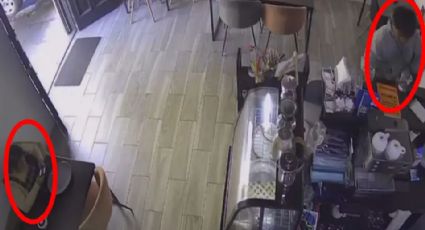 Encargada de una cafetería 'taclea' a ratero y frustra robo de forma impresionante | VIDEO