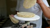 Mantendrán precio de tortilla en Tulancingo... algunos meses