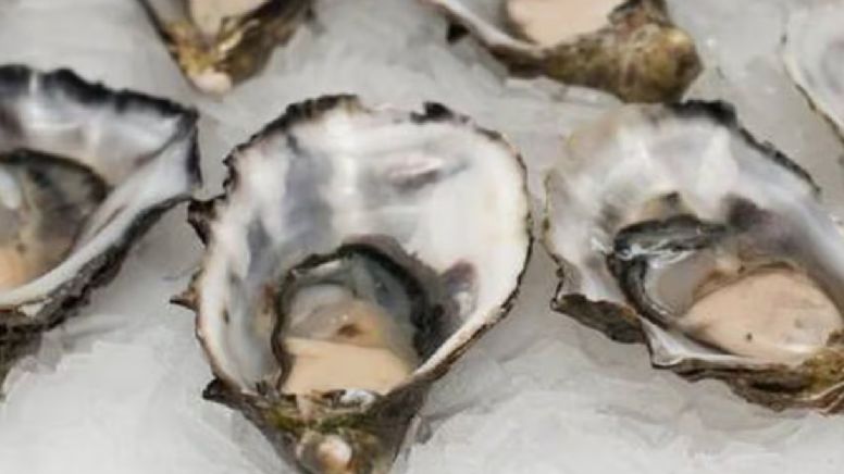 Funcionarios de Salud de California advierten por ostras contaminadas procedentes de México