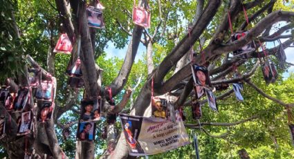 ONU ordena acciones urgentes por desaparición de buscadora Lorenza Cano en Salamanca