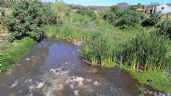 Acusa Alcaldesa a textileras de Moroleón y Uriangato de arrojar aguas residuales a la laguna