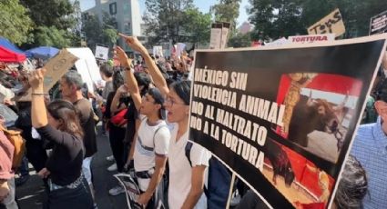 Grupo antitaurino marcha a Plaza México en contra de las corridas de toros