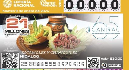 Presentan escamoles y chinicuiles en billete de Lotería Nacional