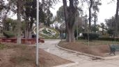 Imparable plaga: agonizan árboles centenarios en Parque Hidalgo