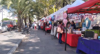 Comerciantes semifijos de la Alameda Hidalgo acusan que expositores provocan que bajen sus ventas
