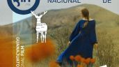 El Festival Internacional de Cine de Guanajuato (GIFF) abre su convocatoria para su concurso de guión 2024