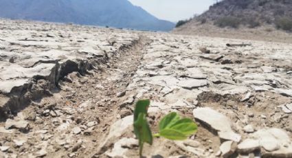 Afectadas con el nivel más intenso de sequía Sierra y Huasteca hidalguenses: Conagua