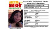 Alerta Amber: Buscan a Allison Mariana Alcalá Melchor, desapareció en Irapuato