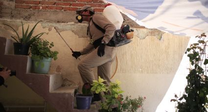 ¿Buscas trabajo? En León hay 35 vacantes para brigadista en la campaña contra el dengue