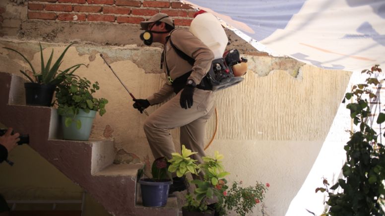 ¿Buscas trabajo? En León hay 35 vacantes para brigadista en la campaña contra el dengue