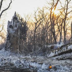 Padece Texas el incendio más grande de su historia: 4,400 kilómetros cuadrados son afectados