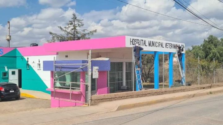 Abre sus puertas el Hospital Municipal Veterinario de Guanajuato capital