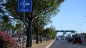 Fotomultas en León: emiten y validan 473 multas al día por exceso de velocidad