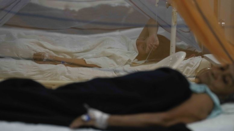 Ecuador reporta ocho mil casos de dengue en lo que va del año