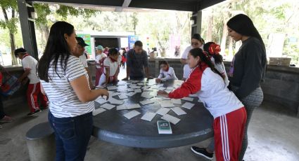 Campamento familiar en Parque Irekua: alumnos, padres y escuelas comparten.