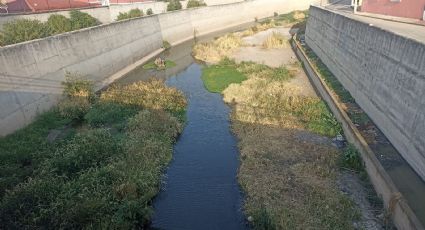 Seis años sin trabajos de limpieza en ríos de Tulancingo por parte de Conagua