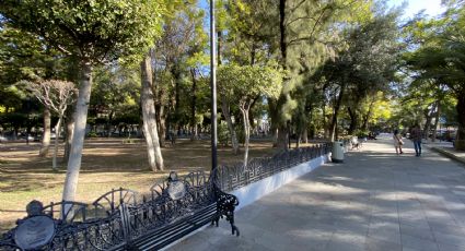 ¿Por qué se debe cambiar el sistema de riego y retirar 20 árboles de la Alameda Hidalgo de Celaya?