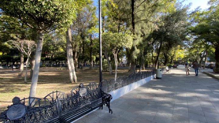 ¿Por qué se debe cambiar el sistema de riego y retirar 20 árboles de la Alameda Hidalgo de Celaya?