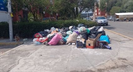 Tiran basura en Pachuca y la alcaldía no sanciona, acusa dirigente vecinal