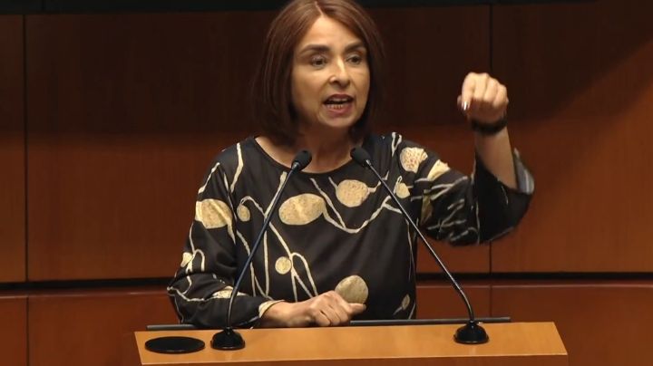 Pide senadora de Morena desaparición de poderes y gobernador interino en Guanajuato