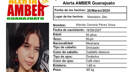 Wendy Daniela desaparece en Moroleón, su familia pide ayuda para localizarla con vida