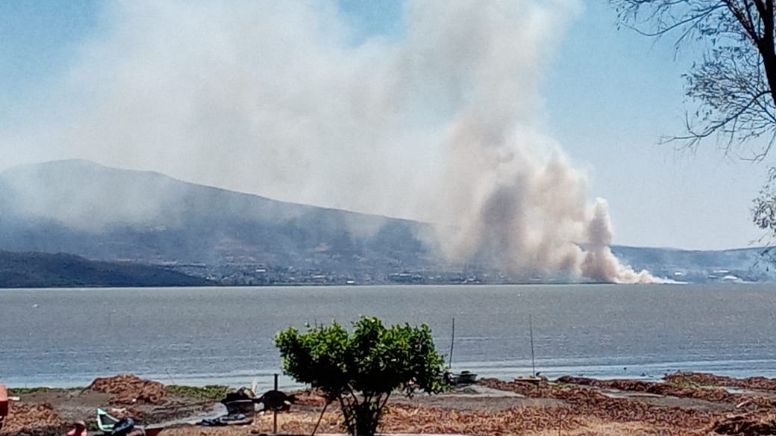 Fuego consume maleza y lirios secos de la Laguna de Yuriria; se desconoce cómo inició el incendio