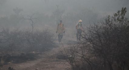Arde Sierra de Lobos: Bomberos combaten incendio que lleva más de 100 hectáreas de pastizal consumidas