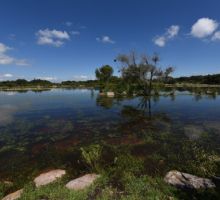 Sobreexplotados 20 acuíferos en Guanajuato: Colegio de Ingenieros del Agua