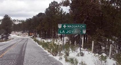 Cierran 5 tramos carreteros por nevadas en Chihuahua; reportan muertes por volcadura