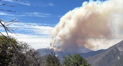 Registra México 58 incendios forestales activos en todo el país y mantiene la alerta