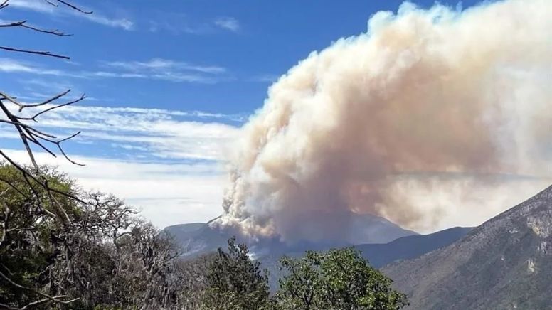 Registra México 58 incendios forestales activos en todo el país y mantiene la alerta