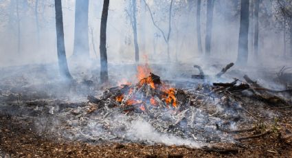 Inicia PGJEH carpeta por incendio en Mineral del Chico; origen fue quema de basura