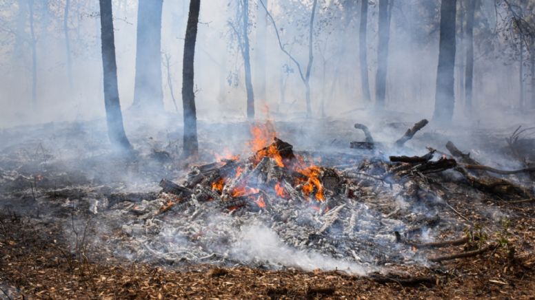 Inicia PGJEH carpeta por incendio en Mineral del Chico; origen fue quema de basura