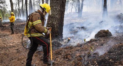 Afectadas casi 2 mil hectáreas por fuego en el estado