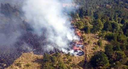 Suben a 120 los incendios activos en el País