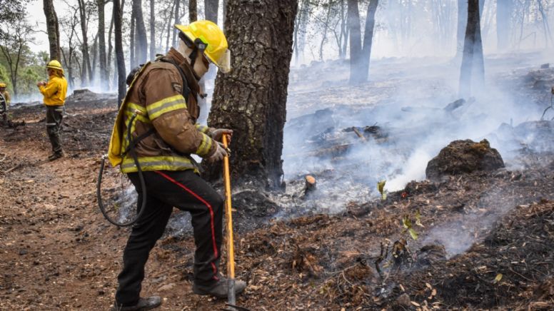 Afectadas casi 2 mil hectáreas por fuego en el estado
