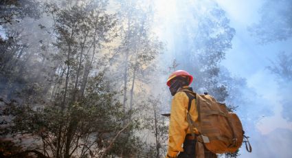 Incendio en Sierra de Santa Rosa en FOTOS hoy 28 de marzo