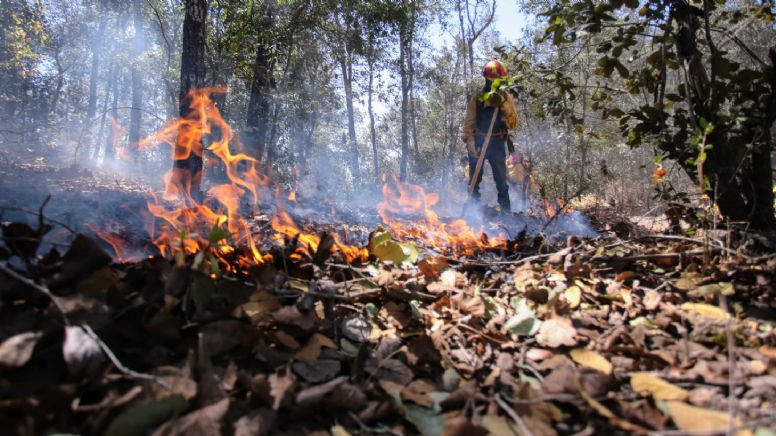 A 4 días de que inició el incendio en la Sierra de Santa Rosa logran detener su avance