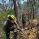 Piden autoridades de Tulancingo denunciar incendios provocados