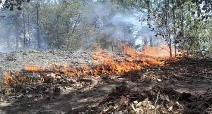 Reportó Hidalgo 12 incendios forestales en cinco días
