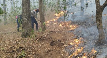 Pide PC de Huejutla evitar incendios forestales