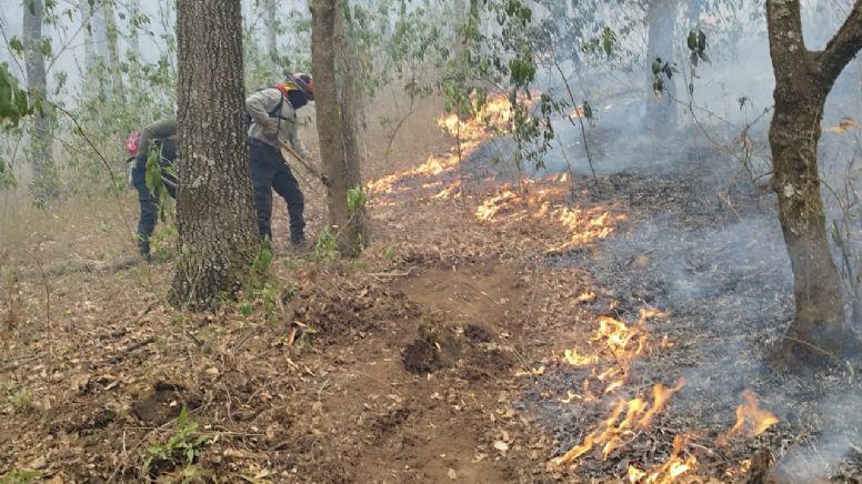Pide PC de Huejutla evitar incendios forestales