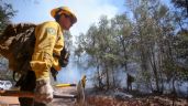 Ausencia de viento permite apagar incendio en la Sierra de Santa Rosa después de 6 días de infierno