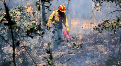 Crecen en una semana 68 %, incendios forestales en México