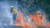 Reportó Hidalgo 13 incendios forestales en primer bimestre de 2024