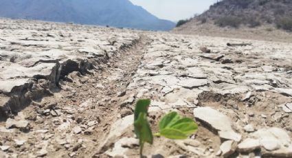 Con sequía excepcional y extrema más de la mitad de Hidalgo; incrementa nivel más intenso: Conagua