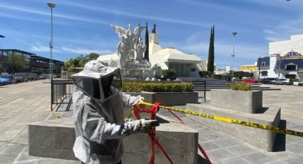 Retiran panal de abejas de parroquia en León tras ataque a dos mujeres