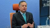 Propone magistrado devolver candidatura al Senado a Santiago Nieto